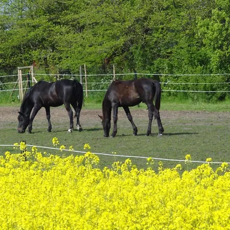 Inselidylle Bullerbue *